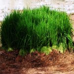 WhatsApp Image 2020-02-21 at 11.57.58 PM (2)