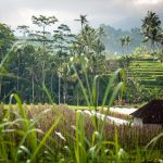 WhatsApp Image 2020-02-21 at 11.57.59 PM (1)