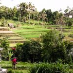 WhatsApp Image 2020-02-21 at 11.58.00 PM