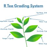 WhatsApp Image 2020-04-22 at 4.39.06 AM