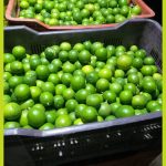 07154156-39d8-471f-95b3-07c9fbcc12cf