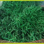 15d4e566-018d-47a5-9874-5bb1870c7ee1