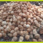 339b6340-6aaa-44a6-b5ea-def834897900