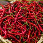 5cab60d8-07d4-4a2b-936b-f34087064968