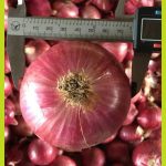 67e465ca-f2c0-4aff-a99b-04d4e91e8ecd