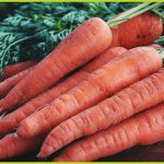 70676b82-7b59-4c22-b41f-b4a7de2c45c0