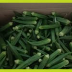 8307c107-9478-49d8-ad92-6b87a4e94ae2