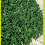 835bbe43-4aa8-463b-8318-be91d4c82038