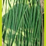 9f030649-2550-4b58-a367-2a9580f3f8e8