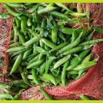 a53b6b60-ecf8-496e-8452-f508d1f0e276